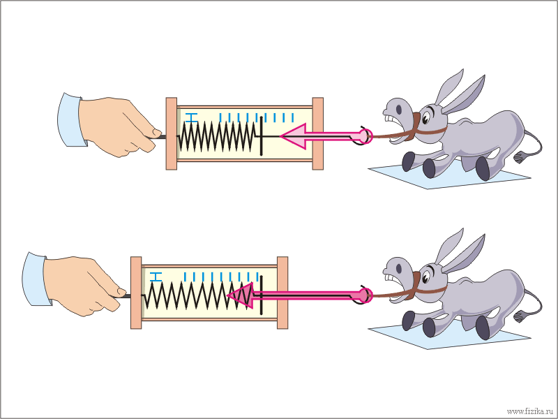 Сила упругости физика 7 класс. Упругость рисунок. Сила упругости иллюстрация. Сила упругости на динамометре. Сила упругости мультик.